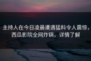 主持人在今日凌晨遭遇猛料令人震惊，西瓜影院全网炸锅，详情了解