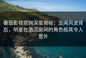 番茄影视官网深度揭秘：丑闻风波背后，明星在酒店房间的角色极其令人意外