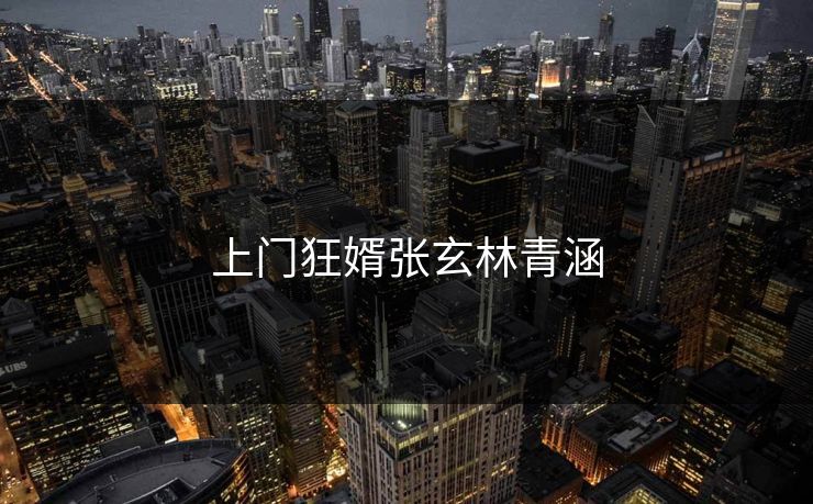 上门狂婿张玄林青涵